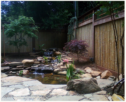 Bamboo Fence with Glass
